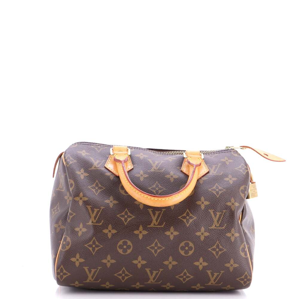 Louis Vuitton Speedy Handbag Canvas 25 #254189L19B